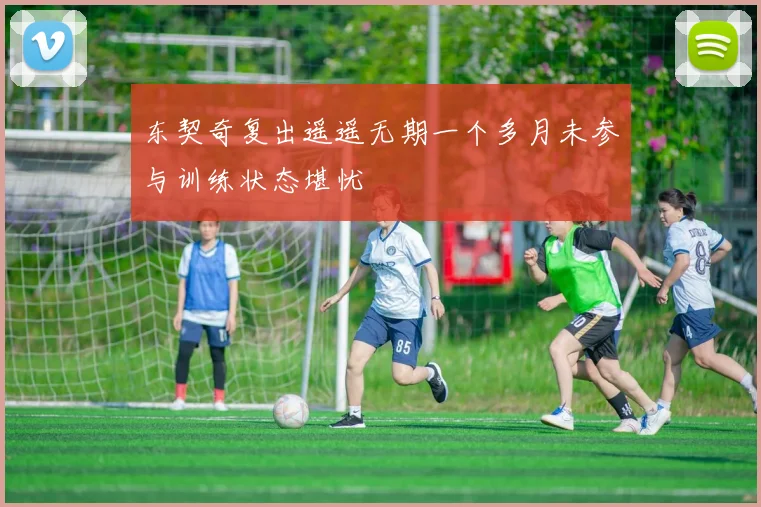 东契奇复出遥遥无期一个多月未参与训练状态堪忧