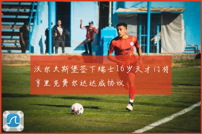 沃尔夫斯堡签下瑞士16岁天才门将亨里克费尔达达成协议