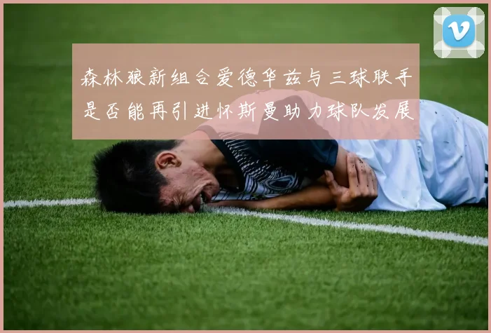森林狼新组合爱德华兹与三球联手是否能再引进怀斯曼助力球队发展