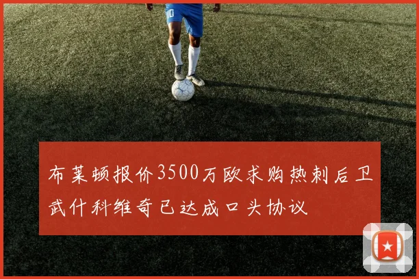 布莱顿报价3500万欧求购热刺后卫武什科维奇已达成口头协议