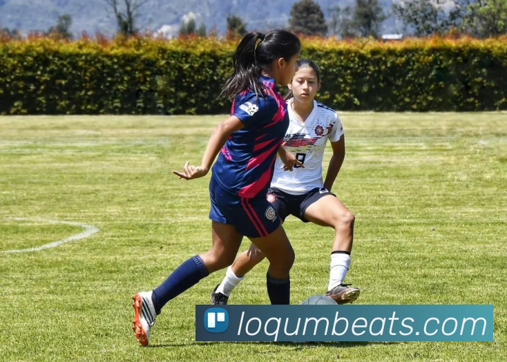 乔约翰逊称詹姆斯加盟热火将释放巨大潜力成为球队核心组织者